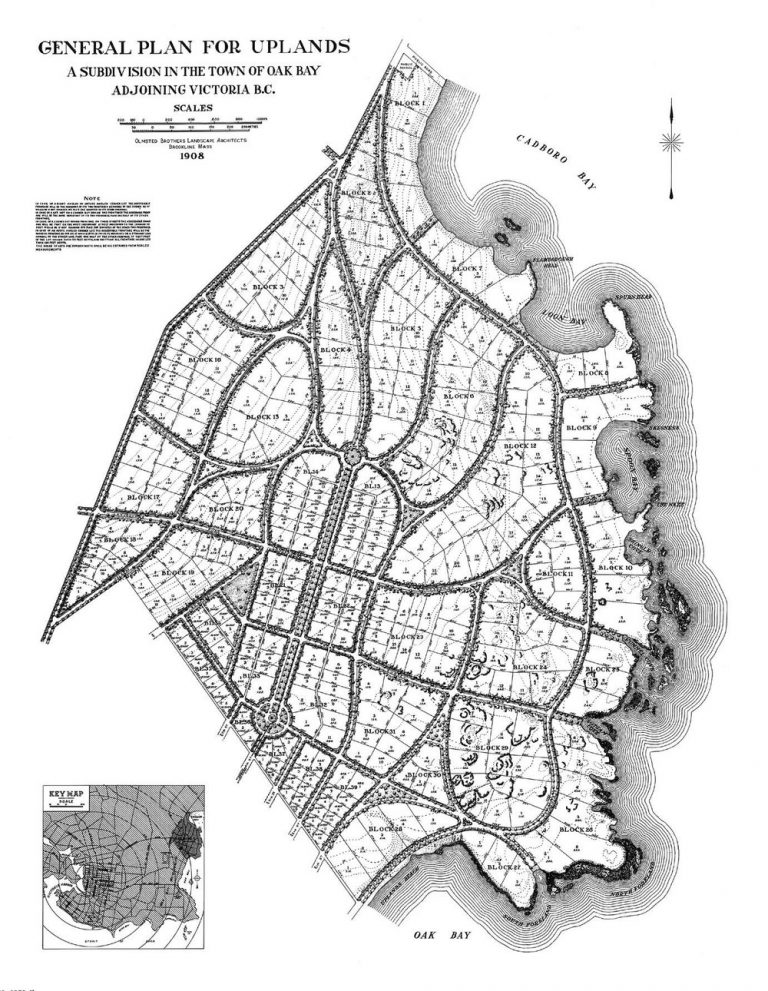 BrightonPressconcept2 768x991